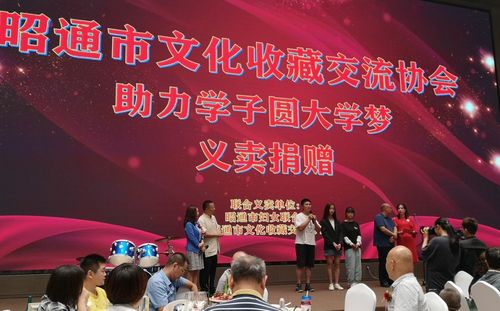 昭通市文化收藏交流协会成立，川滇两地文化艺术交流迎来新篇章