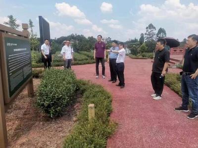 四川省科技与艺术融合发展促进会三茶统筹谱新篇 赴省茶业集团构画文化科技赋能新图景